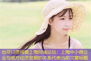 上海中小微企业与地方经济发展的关系